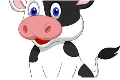 牛的属相和哪些属相不合 属牛的人最忌讳什么生肖