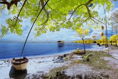 怎么看五行属什么命 如何根据八字推算五行