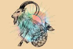 摩羯座为什么害怕双鱼座 摩羯双鱼相处困境解析