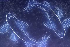 双鱼座男生2025运势  有哪些提升财运的贵人或机遇