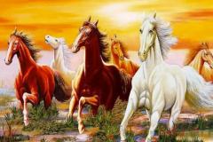 八骏图挂在家哪里合适 哪些属相适合挂八骏图