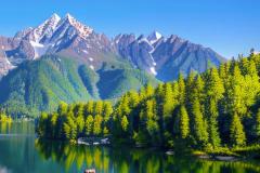 八字命理中土旺木衰如何补救 如何通过风水调整改善