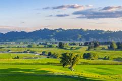 生肖三合6合如何推算 十二生肖相合关系具体指什么