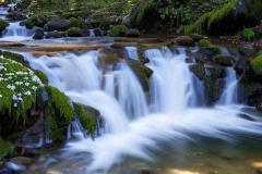 八字命理中如何化解鬼旺身衰 如何通过五行调整补救