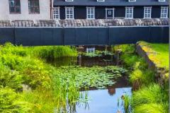 房后有池塘好不好 自建房后面有池塘好吗