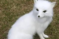 女人梦见狐狸很亲近代表什么 梦到狐狸是否反映内心欲望