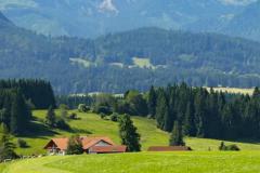 阴女土五局最忌三个属相 土五局阴女属于什么档次