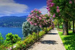 风水五鬼门怎么化解 如何破解五鬼门的风水局