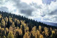 大人物八字伤官格局解析 伤官旺的人注定成功吗