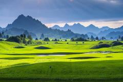 怎么看八字命里带官  如何通过八字看官运