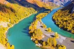 八字日元代表什么意思 如何从八字看日元强弱对命运的影响