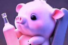 属猪的婚配属相有哪些讲究 生肖猪最佳配对解析