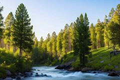 女命八字四个太极贵人如何善用太极贵人助力人生