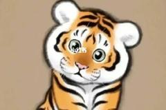 龙跟虎在一起合适吗  生肖龙虎婚配的性格解析