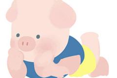 属猪的三合和六个合 还有哪些生肖与属猪相配