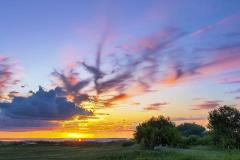 木命适合葬在什么方位 五行木命阴宅选址讲究