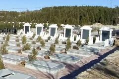 2025不宜去墓地的属相 如何避免墓地带来的不良影响