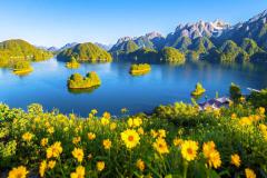 土命和火命相冲吗  五行相生相克对命运的影响解析