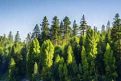 男命八字财无根感情 财星无根如何借根化解