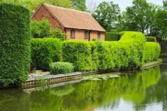 大门前有池塘好不好 如何利用池塘提升居住环境