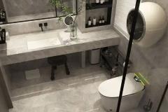 卫生间适合摆放哪些风水植物 提升运势与净化空气的绿植推荐