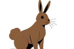 鼠女和兔男婚配指数高吗 生肖鼠与兔的婚姻性格解析