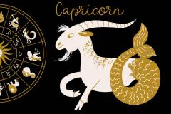 摩羯女和什么星座最配对 处女座和摩羯女在一起合适吗