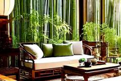 卧室放竹子风水好吗 它离床多远最好