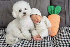 属狗的和属什么的合 属蛇和属狗的合得来吗