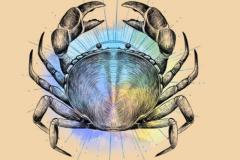 巨蟹女如何暗示喜欢你 如何正确回应巨蟹女的暗示