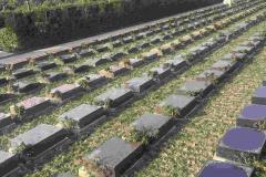 墓地风水有什么讲究 墓碑方向朝哪里是最佳方向