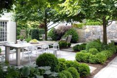 院子里种树有什么讲究 南北方院子里种什么树好