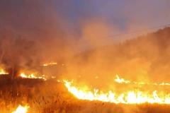 做梦梦到大火烧山是凶兆吗 如何根据梦中的火势判断吉凶