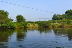 房前有鱼塘风水好吗 什么人不适合房前有鱼塘