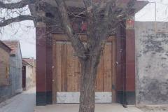 门口有树对着大门好不好 门前树风水有什么讲究