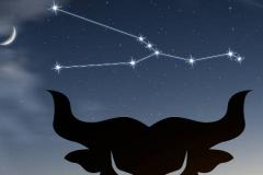 金牛座和哪个星座最合适 它的最佳配对星座是哪些