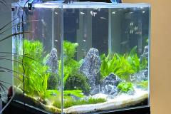 鱼缸放在客厅哪个位置风水最好 鱼缸摆放三大忌